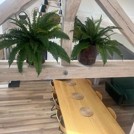 Attic Appart Stary Toruń Zewnętrze zdjęcie