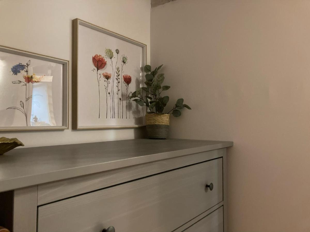 Attic Appart Stary Toruń Zewnętrze zdjęcie