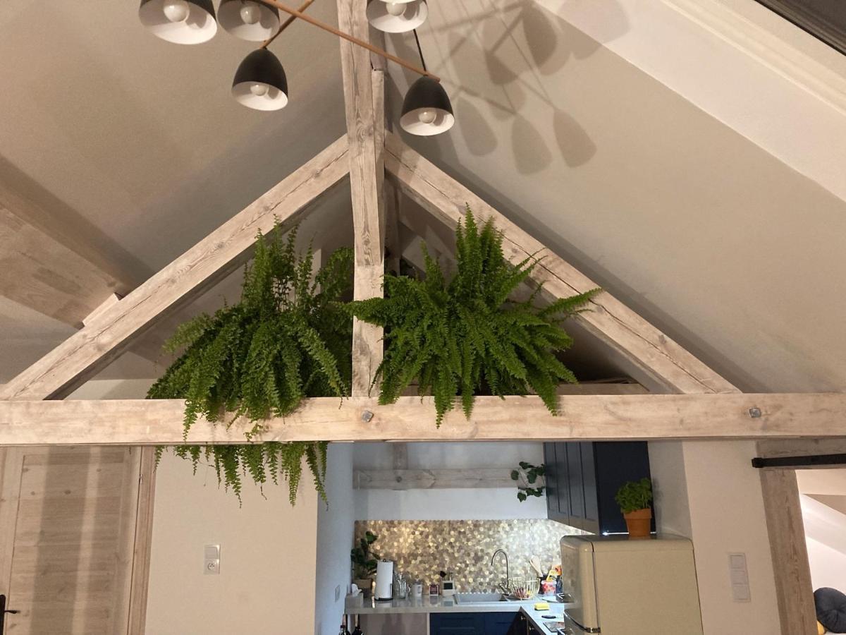 Attic Appart Stary Toruń Zewnętrze zdjęcie