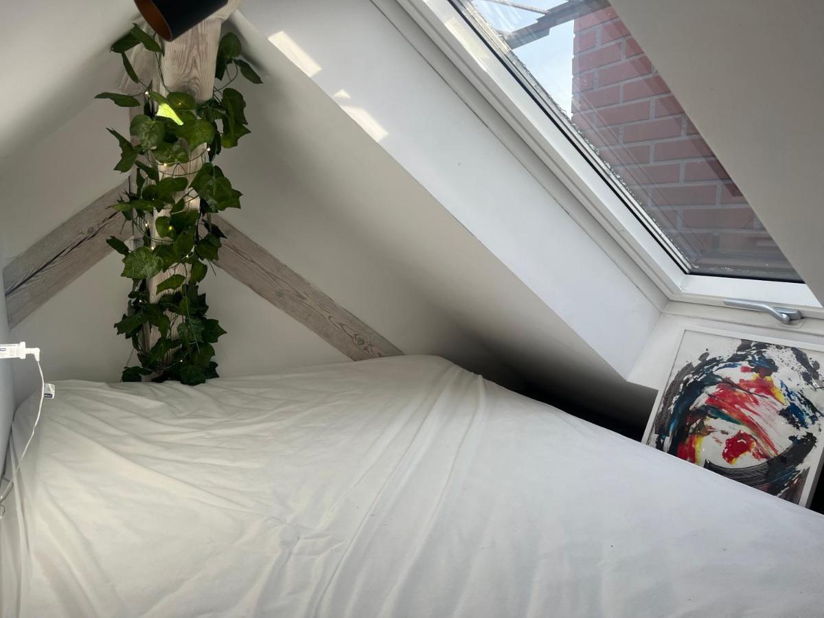 Attic Appart Stary Toruń Zewnętrze zdjęcie