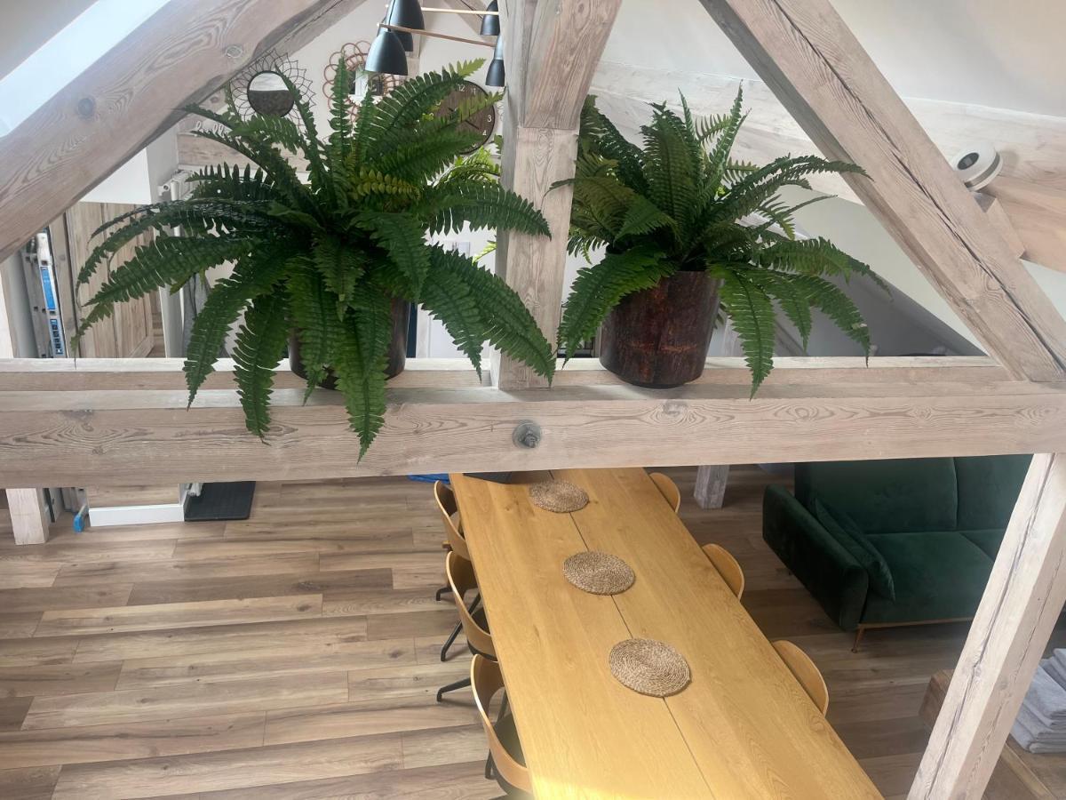 Attic Appart Stary Toruń Zewnętrze zdjęcie