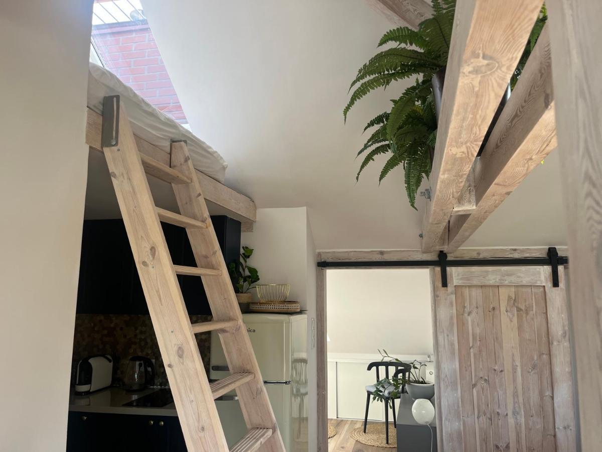 Attic Appart Stary Toruń Zewnętrze zdjęcie